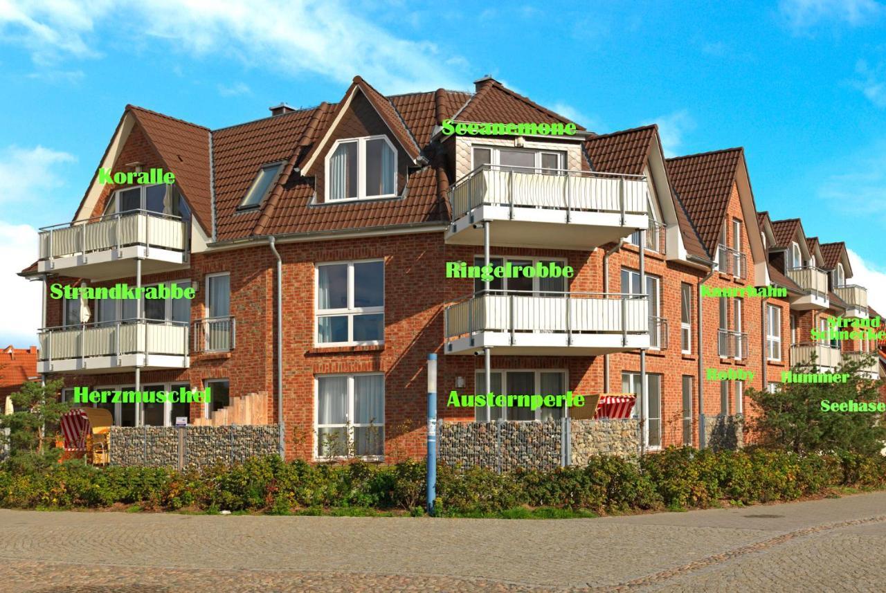 Haus Suedwester Koralle Insel Poel Exteriör bild