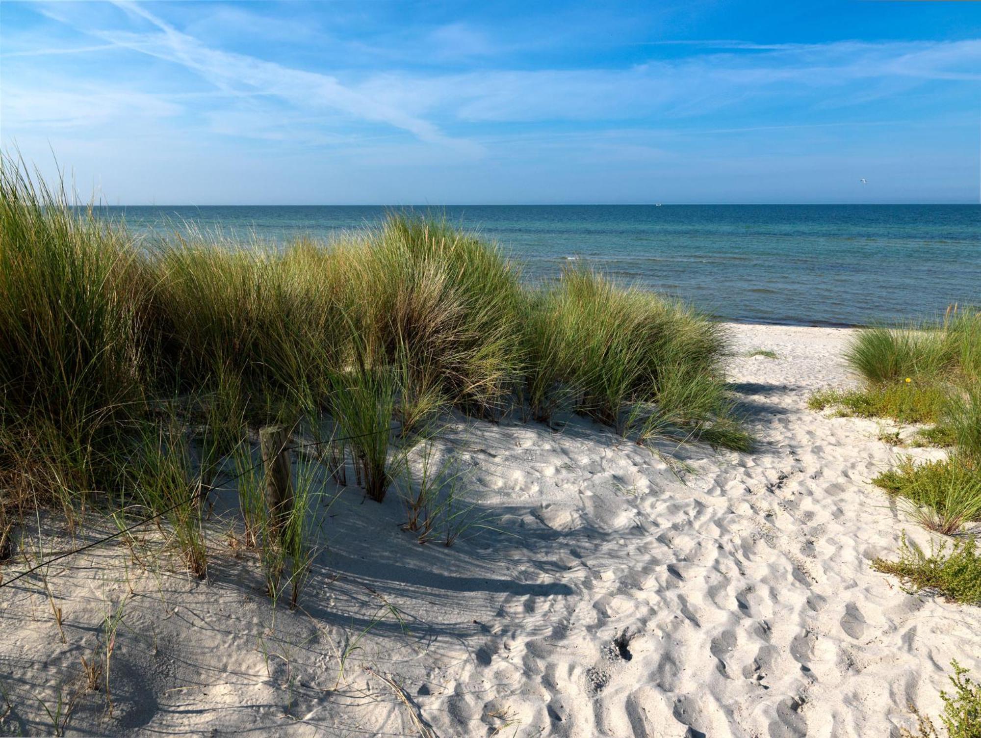 Haus Suedwester Koralle Insel Poel Exteriör bild