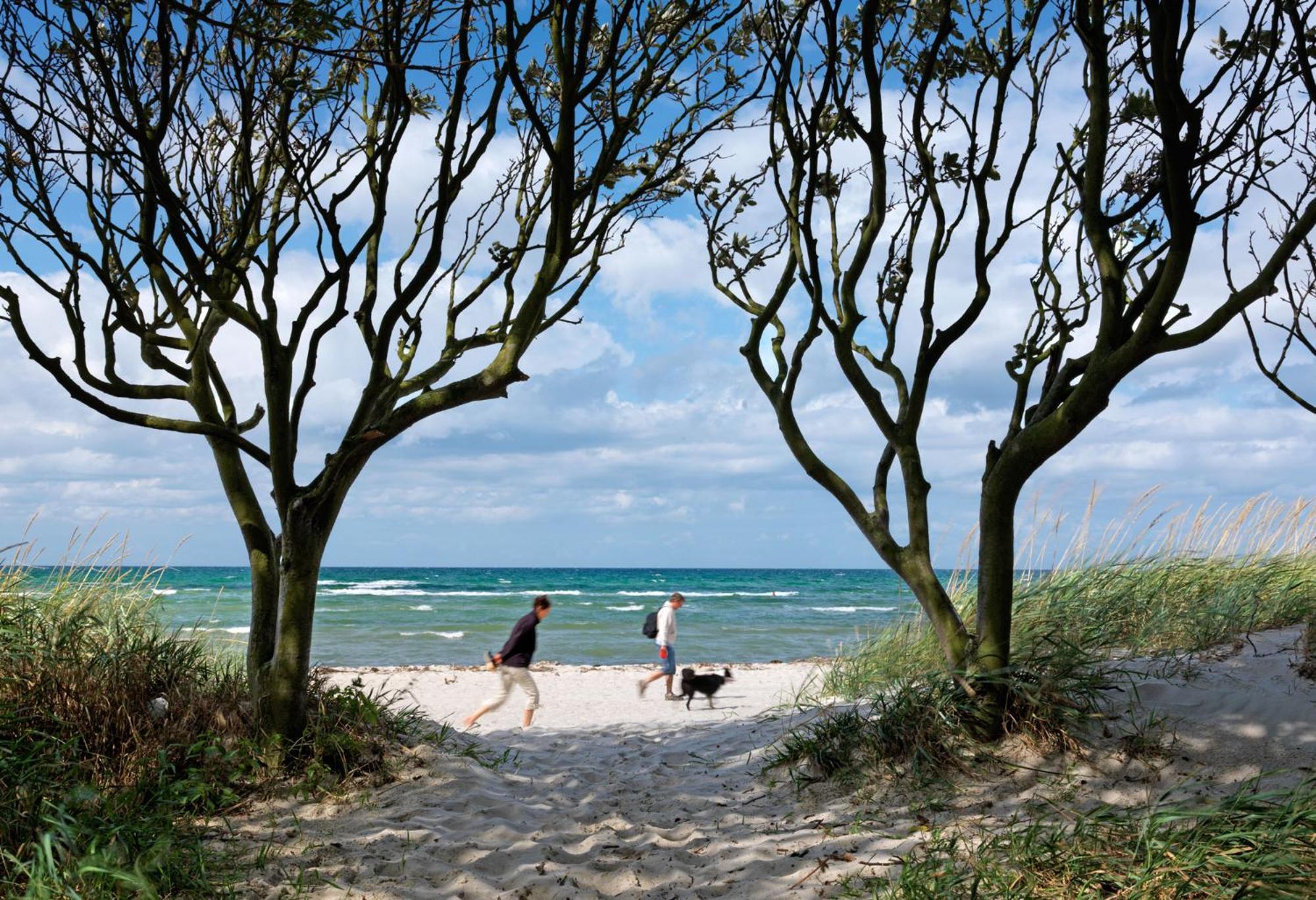 Haus Suedwester Koralle Insel Poel Exteriör bild